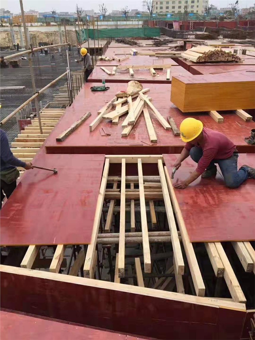 韶關建筑木方與建筑模板 構筑現代工程的基礎材料