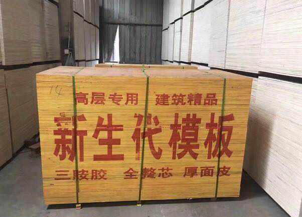 江蘇建筑模板最新價格與沭陽縣新生代木制品廠高清產品展示